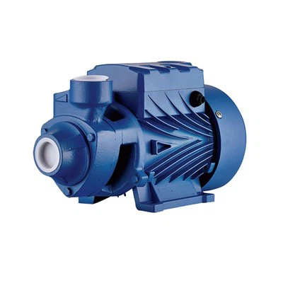 Perifera pumpar av gjutjärn